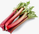 RHUBARBE - KG RHUBARBE - KG