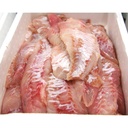 SCORPIONFISH FILLET 800/1000GR ACE – FILET DE RASCASSE 800/1000GR ACE