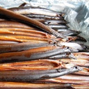 SMOKED EEL – ANGUILLE FUMÉE