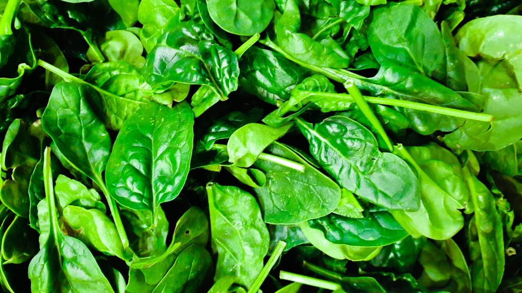 SPINACH - KG EPINARD - KG