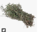 THYME - BUNCH THYM - BOTTE