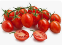 TOMATO CHERRY DATERINO - TOMATE CERISE DATERINO 
