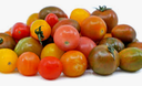 TOMATO CHERRY MIX BONBON - KG TOMATE CERISE MIX BONBON - KG