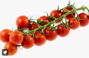 TOMATO CHERRY VINE - KG TOMATE CERISE GRAPPE -KG
