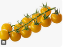 TOMATO CHERRY YELLOW - PUNNET TOMATE CERISE JAUNE - BQT
