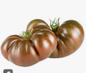 TOMATO HEIRLOOM BLACK - TOMATE ANCIENNE CRIMEE NOIRE 