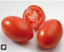TOMATO OLIVETTE ROMA - TOMATE OLIVETTE 