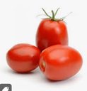 TOMATO ROMA - TOMATE ROMA 