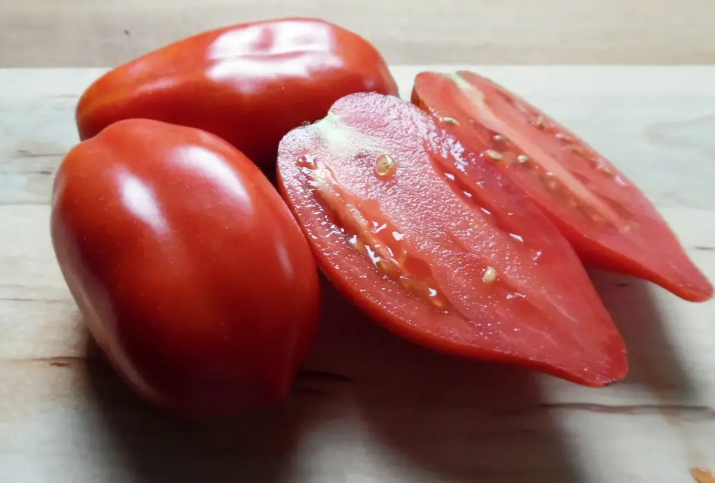 TOMATO SAN MARZANO - KG TOMATE SAN MARZANO - KG