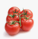 TOMATO VINE - TOMATE GRAPPE 
