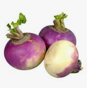 TURNIP - NAVET 