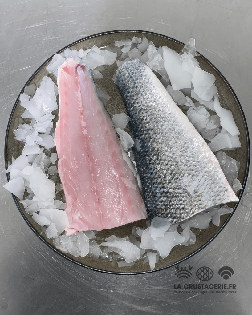 WILD SEA BASS 4KG+ GASCOGNE – BAR SAUVAGE 4KG+ ATLANTIQUE N/EST