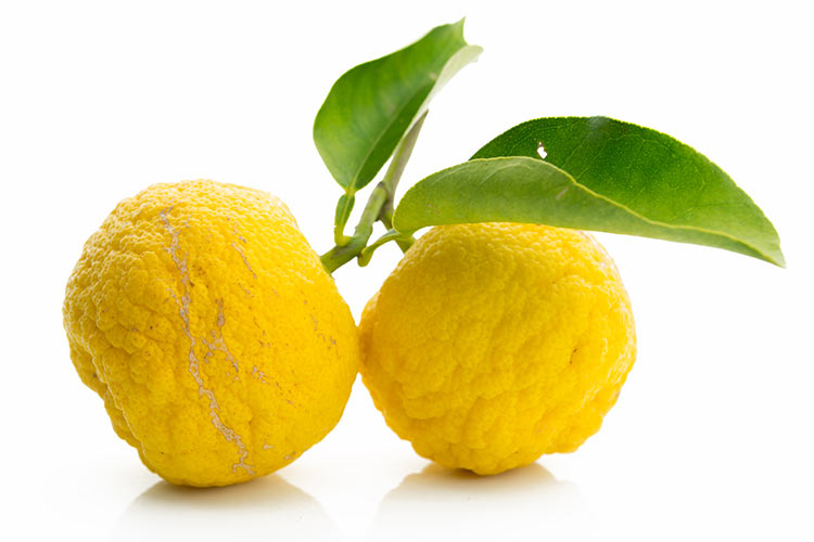 LEMON YUZU EXTRA LARGE - CITRON YUZU GROS EXTRA