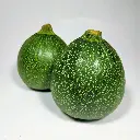 ZUCCHINI ROUND - KG COURGETTE ROND - KG