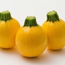 ZUCCHINI ROUND YELLOW - KG COURGETTE ROND JAUNE - KG