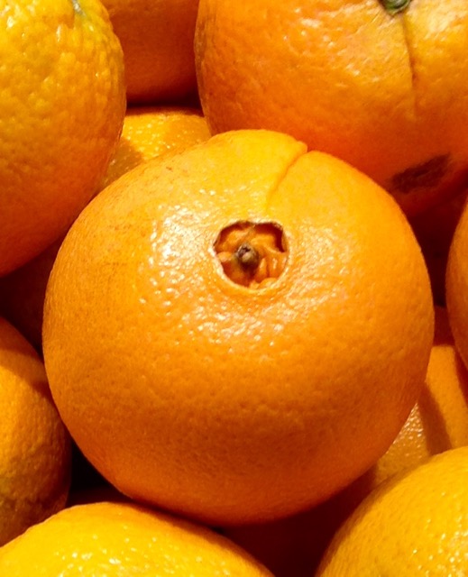 ORANGE NAVEL - NAVEL ORANGE 
