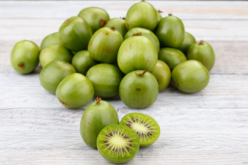 MINI KIWI – KG MINI KIWI - KG