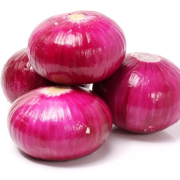 ONION RED PEELED - KG OIGNON ROUGE PELE- KG