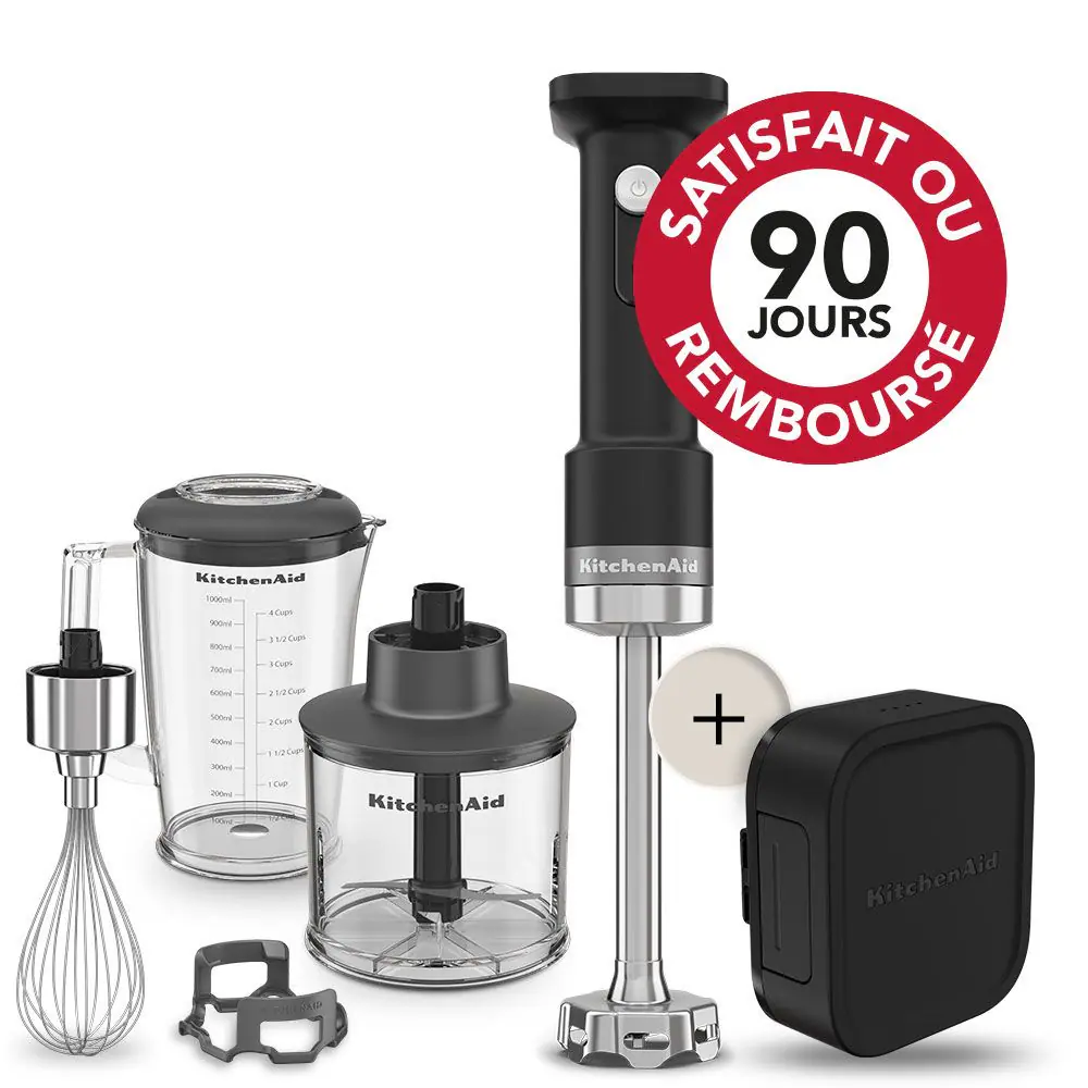 IMMERSION BLENDER MIXEUR PLONGEANT