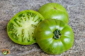 TOMATO JADE FLAVOR - TOMATES SAVEURS DE JADE