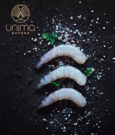 PEELED SHRIMP TAILS ASC-1.5KG