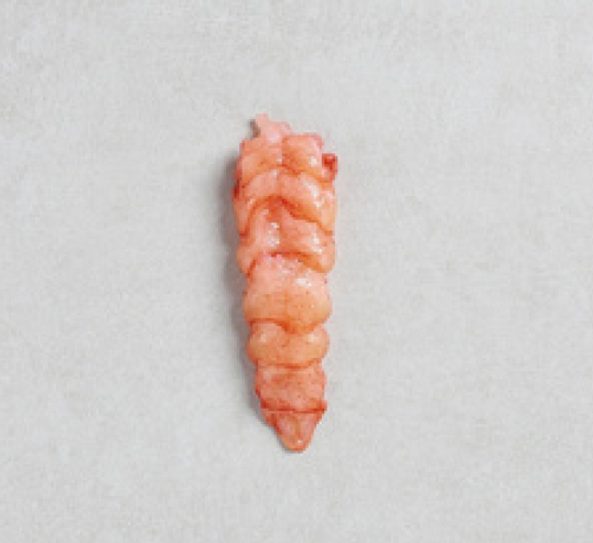 RAW CANADIAN LOBSTER TAIL SHELLED HPP-50/65G QUEUE DE HOMARD CANADIEN CRU DÉCORTIQUÉ HPP-50/65G