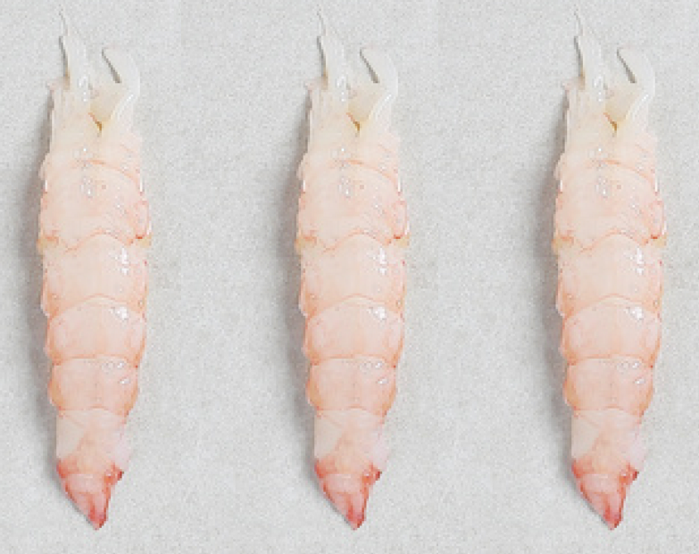SHELLED LANGOUSTINE TAILS PREMIUM SIZE M-KG QUEUES DE LANGOUSTINE DÉCORTIQUÉES PREMIUM TAILLE M-KG