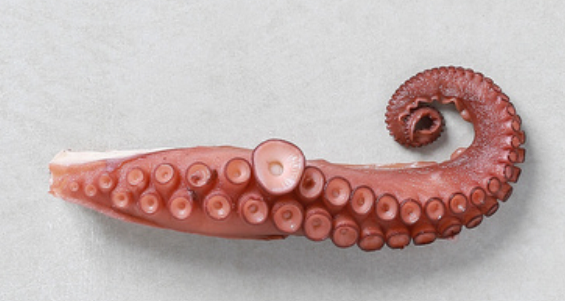 OCTOPUS LEG 100/150 - 4PUNNETX1.5KG JAMBE DE POULPE 100/150 - 4BQTX1.5KG