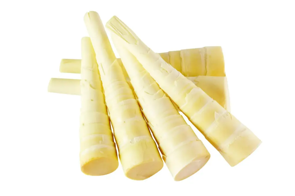BAMBOO SHOOTS - PUNNET POUSSE DE BAMBOU- BQT
