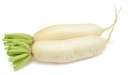 DAIKON RADISH  - RADIS DAIKON