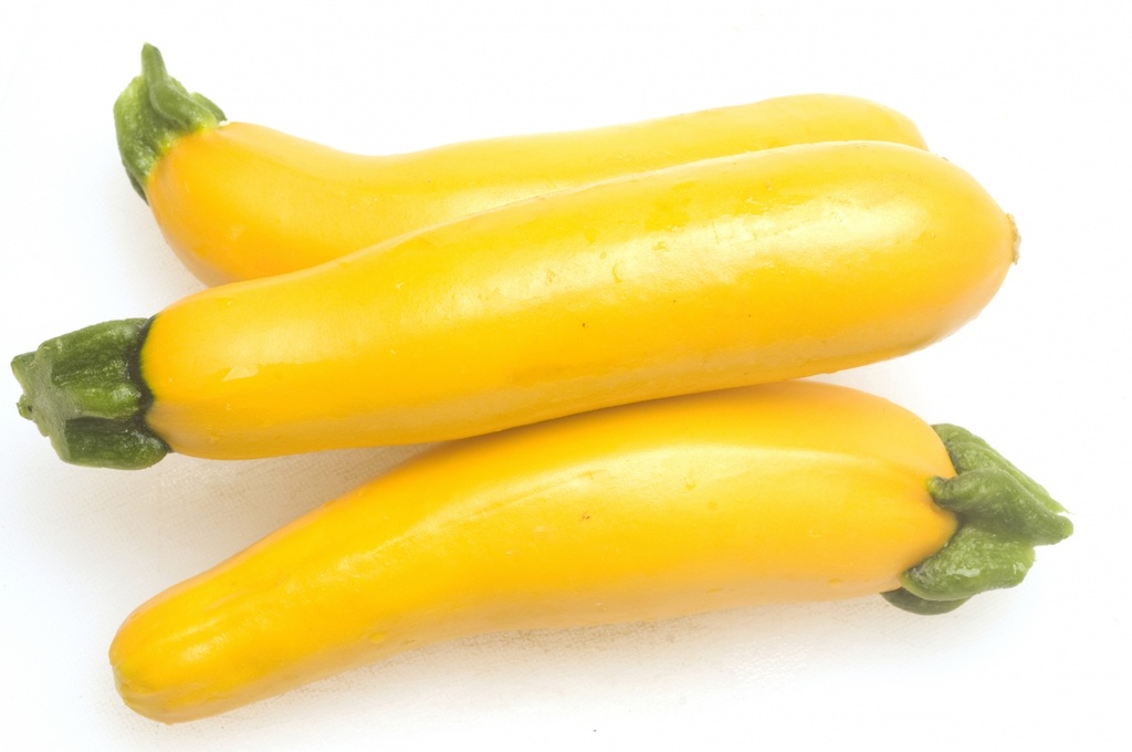 ZUCCHINI YELLOW - COURGETTES JAUNE 