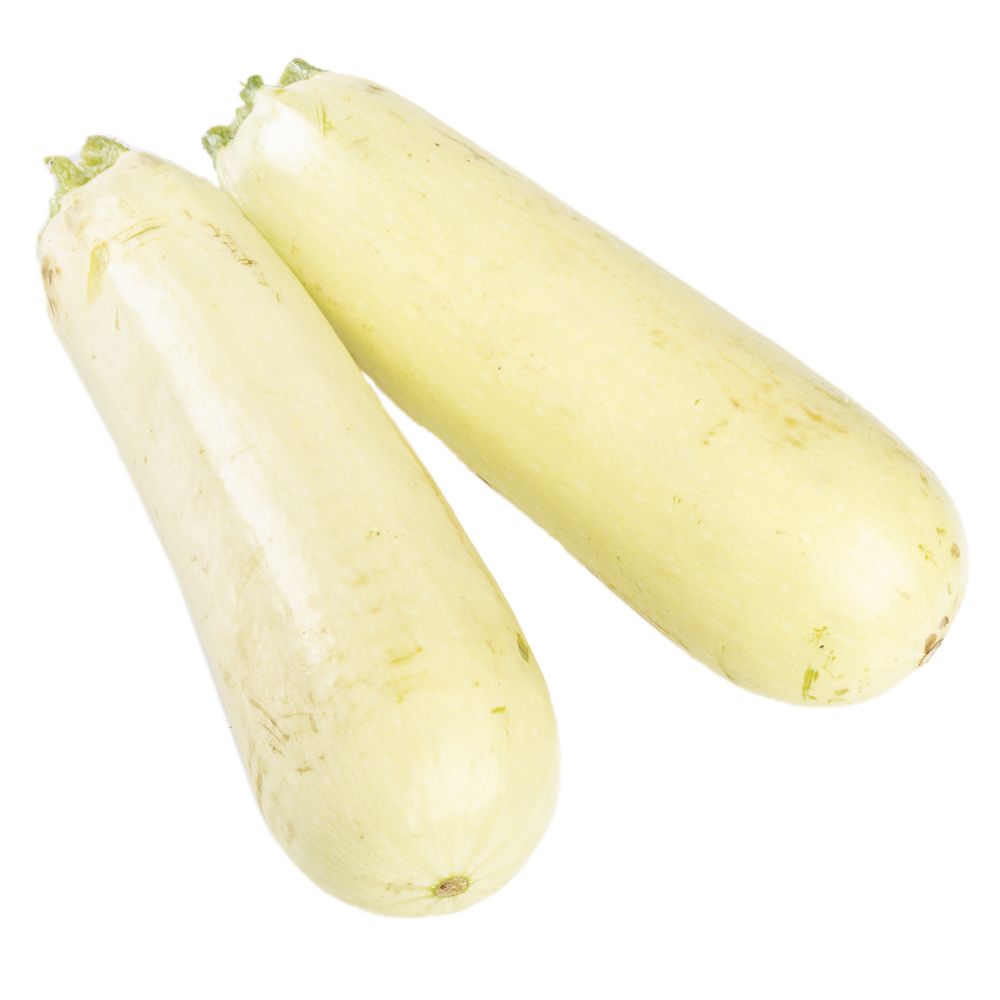 ZUCCHINI WHITE - COURGETTE BLANCHE