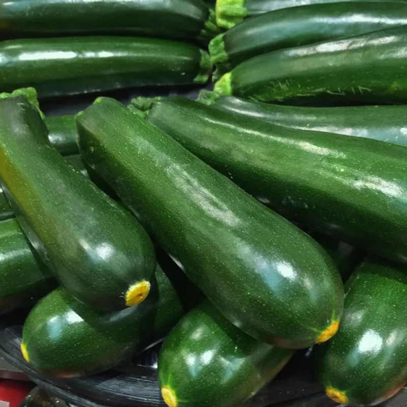 ZUCCHINI GREEN - COURGETTES VERTES 
