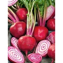 BEETROOT CHIOGGIA KG - BETTERAVE CHIOGGIA KG