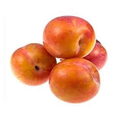 PLUMS TROPICAL PHILIBON -  PRUNE TROPICALE PHILIBON