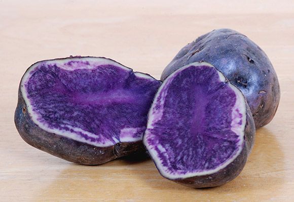 POTATO VITELOTTE PURPLE - PDT VITELOTTE 