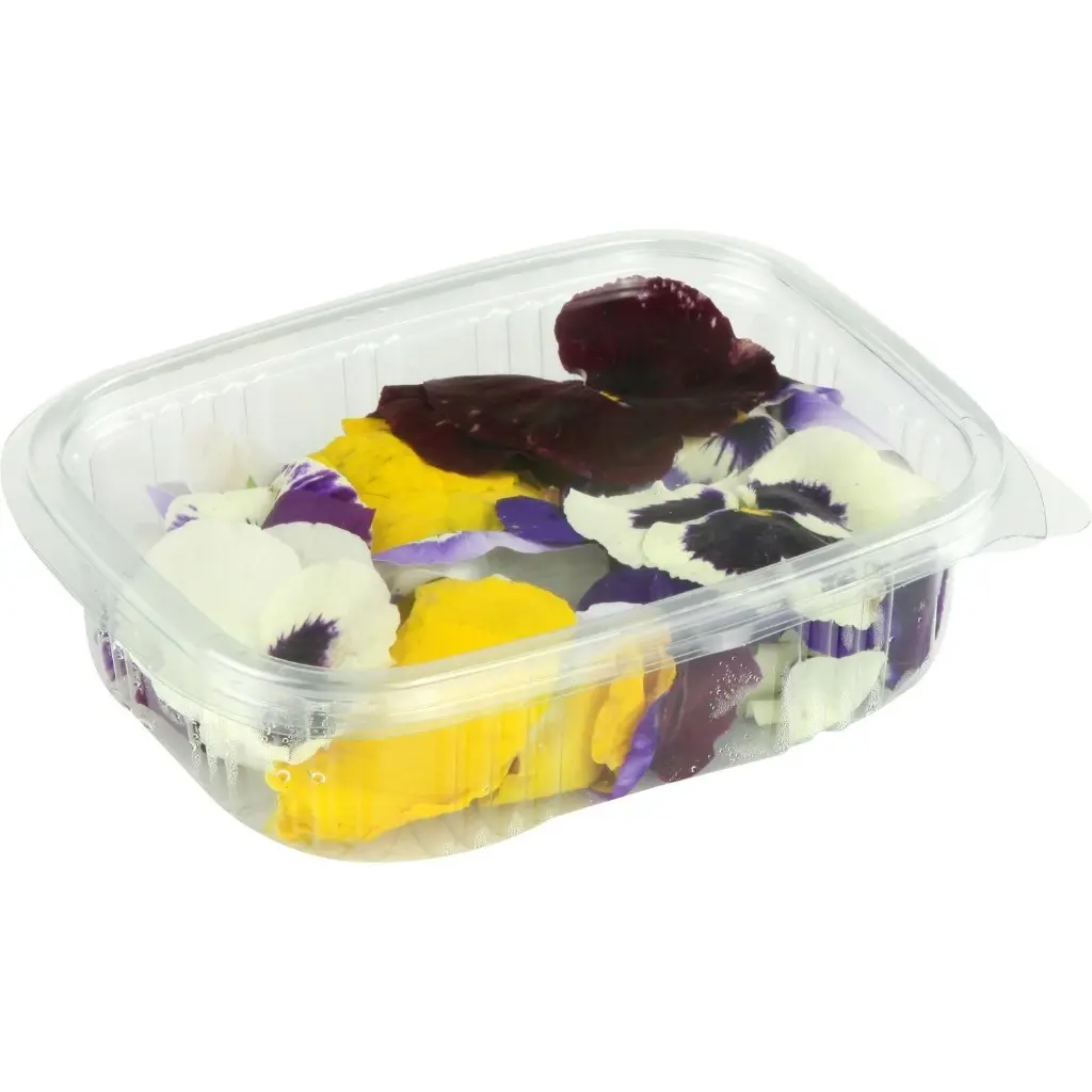 MIXED PANSY FLOWERS PUNNET - FLEURS PENSEE MIXTE BQT