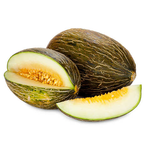 MELON PIEL DE SAPO - PIEL DE SAPO MELON
