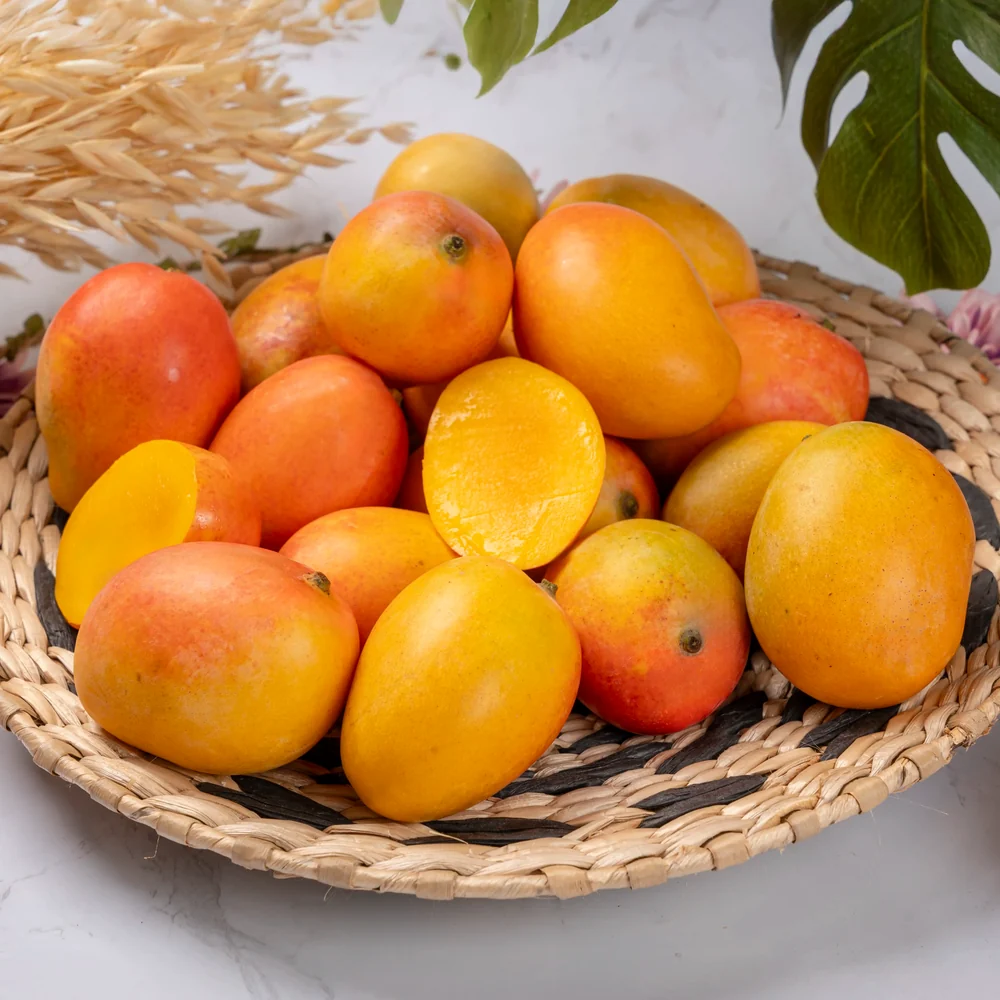 MANGUE MINI COLOMBIE - MINI MANGO COLOMBIA