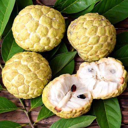 POMME CANELLE - SUGAR APPLE