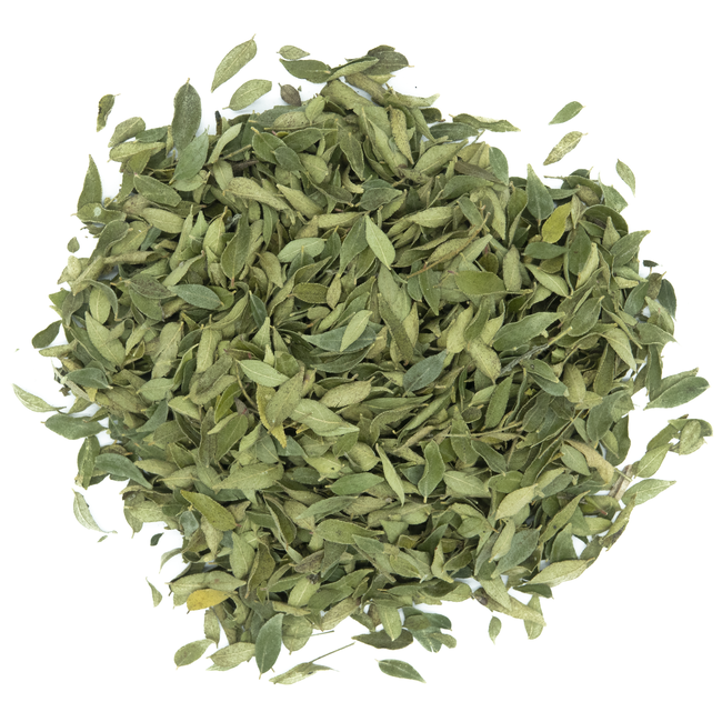 CURRY LEAF - FEUILLE DE CURRY