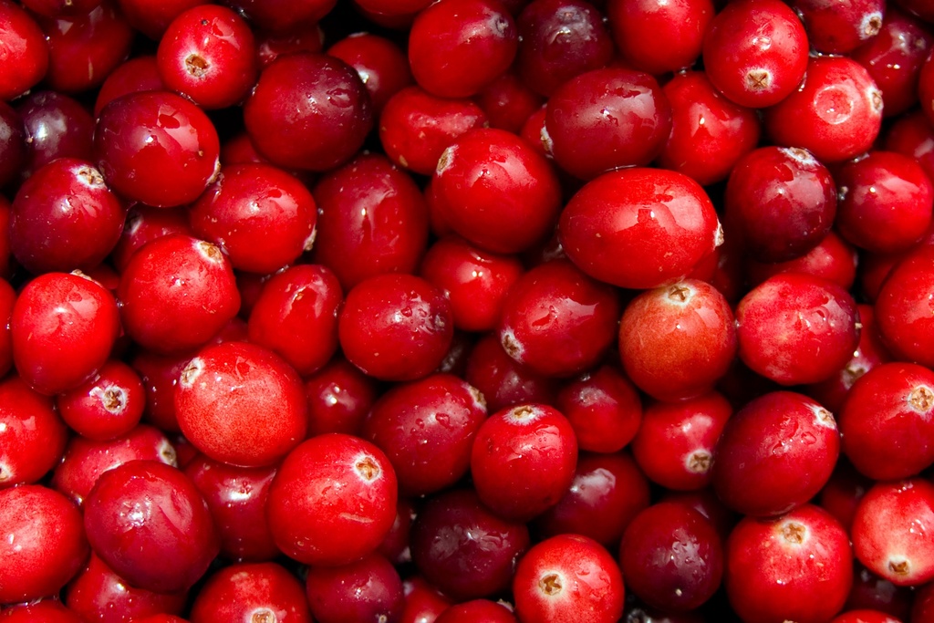 CRANBERRIES - CANNEBERGE 