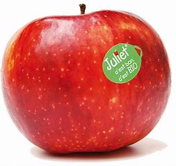 APPLE JULIET BIO - KG POMME JULIET BIO - KG
