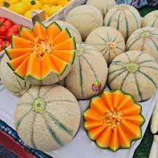 MELON MARRAKCHIA - MELON MARRAKCHIA 