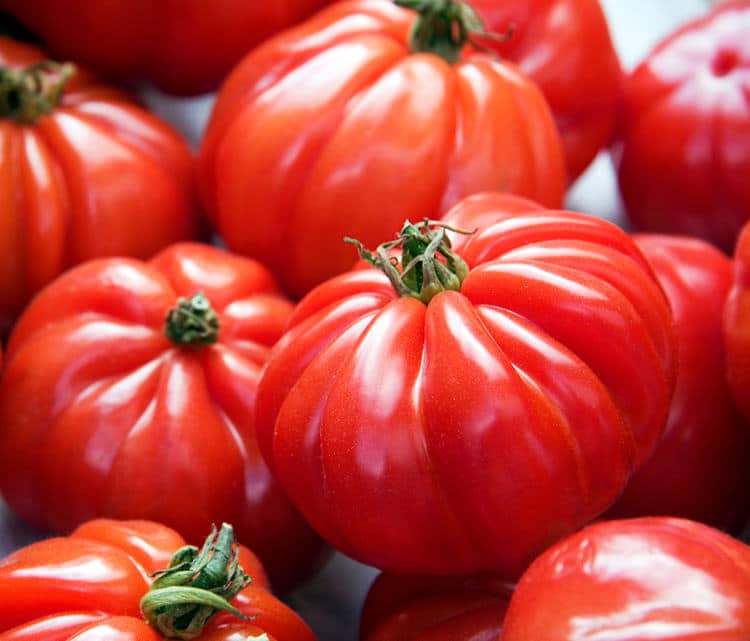 TOMATO MARMANDE- KG TOMATE MARMANDE - KG