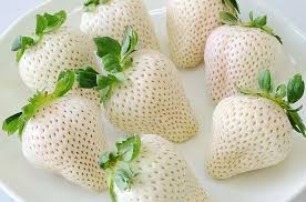 STRAWBERRY WHITE - FRAISE ANANAS 