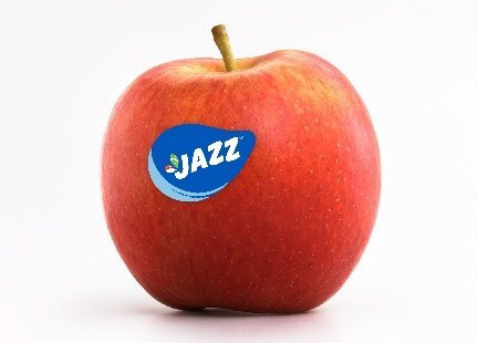 APPLE JAZZ KG - POMME JAZZ KG