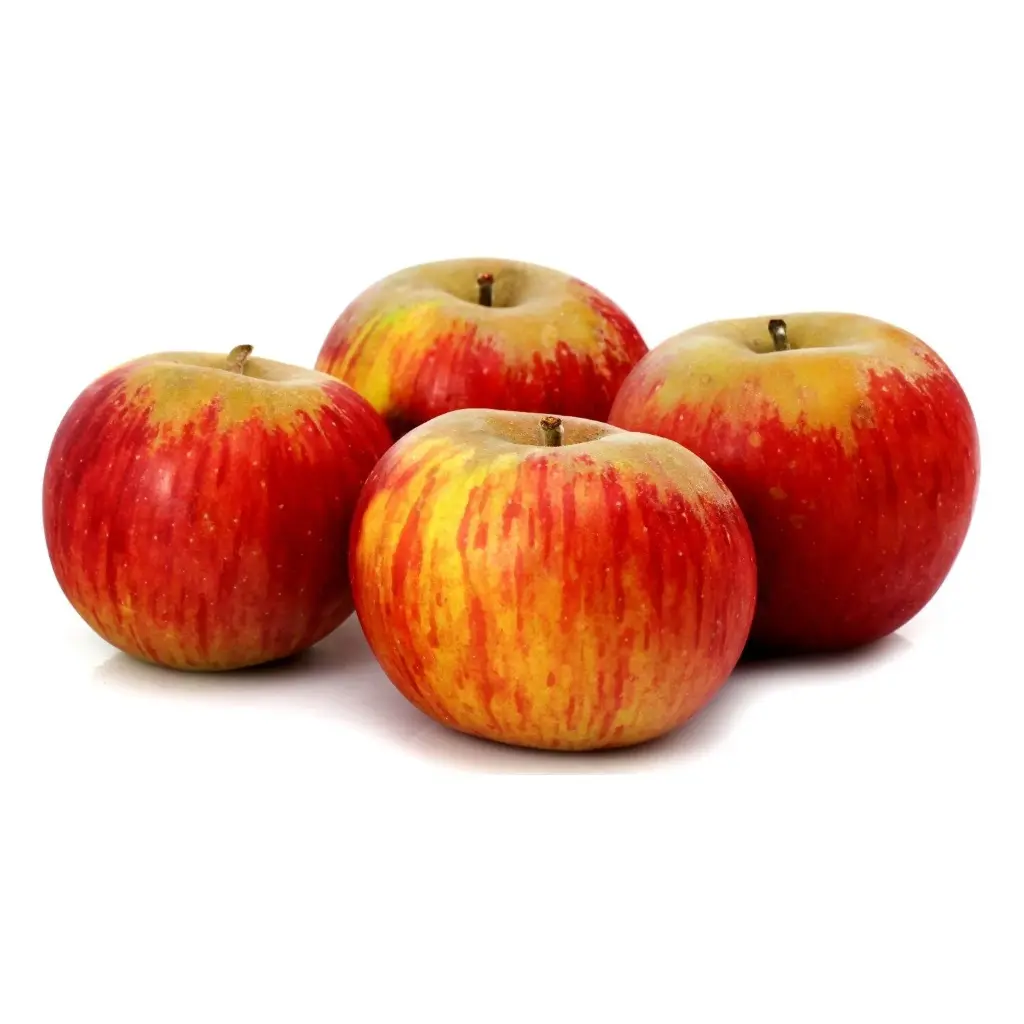 APPLE REINE DES REINETTES - POMME REINE DES REINETTES