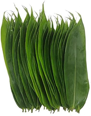 BAMBOO LEAVES - FEUILLES BAMBOU