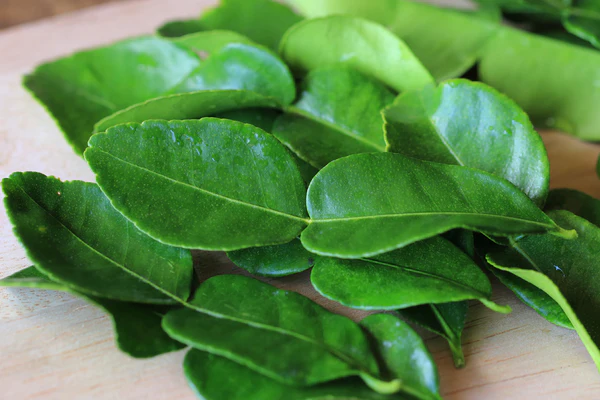 LIME LEAVES KAFFIR - FEUILLE DE COMBAVA